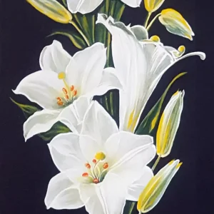 Άσπρα Κρίνα 20 x 60 cm